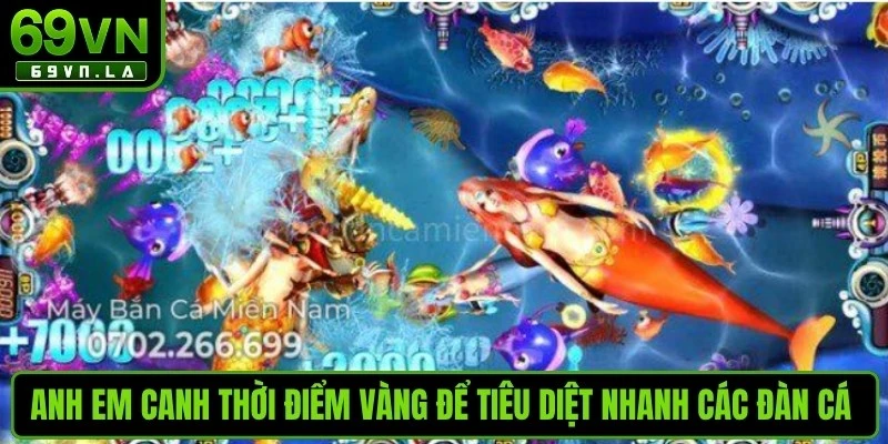 Anh em canh thời điểm vàng để tiêu diệt nhanh các đàn cá mới ra