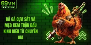 Đá Gà Cựa Sắt