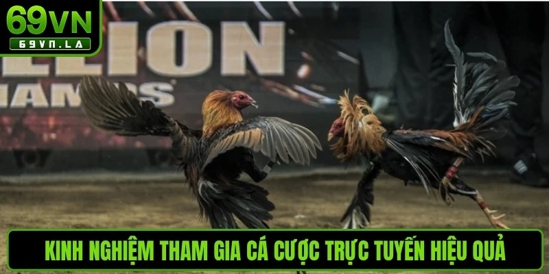 Kinh nghiệm tham gia cá cược trực tuyến hiệu quả là quản lý vốn đầu tư