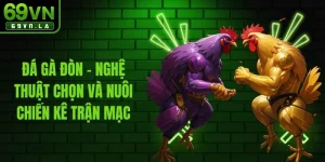 Đá Gà Đòn