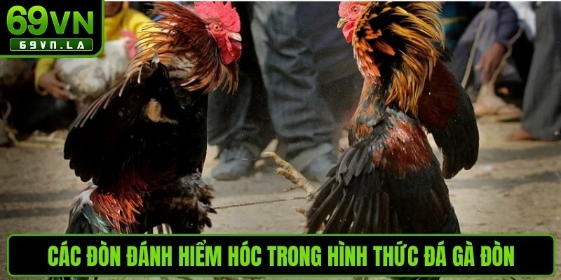 Các đòn đánh hiểm hóc trong hình thức đá gà đòn