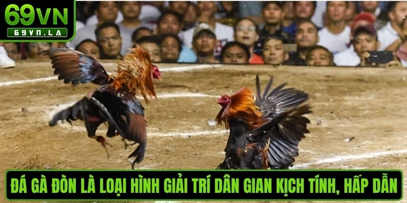 Đá gà đòn là loại hình giải trí dân gian kịch tính, hấp dẫn