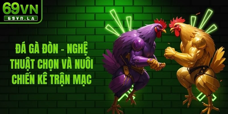 Đá Gà Đòn